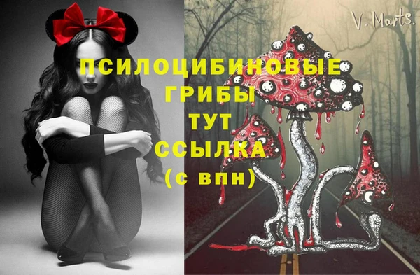 таблы Белоозёрский