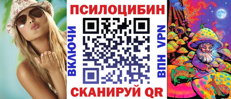 Купить  Омутнинск  Галлюциногенные грибы Psilocybine cubensis 