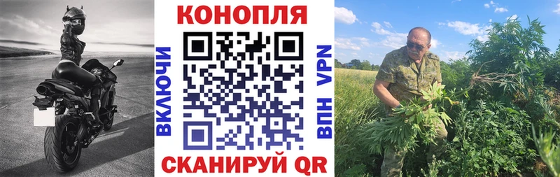 Купить где Омутнинск МАРИХУАНА SATIVA & INDICA